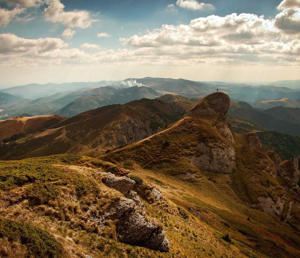 Блюдо сервировочное овальное Terra, 40 см — ракурс 4